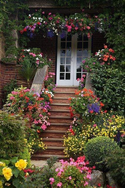 Colorful flowers (photo 2 of 2)
