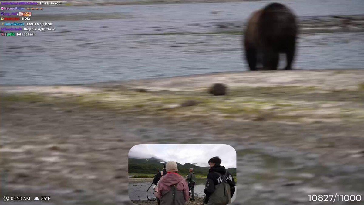 Adapt and Maya Higa Alaska bear encounter