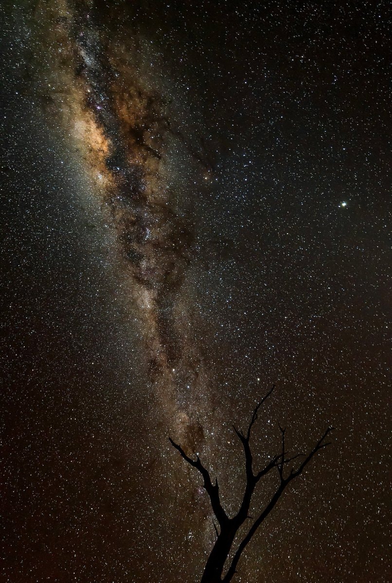 Carl Sagan quote on stars