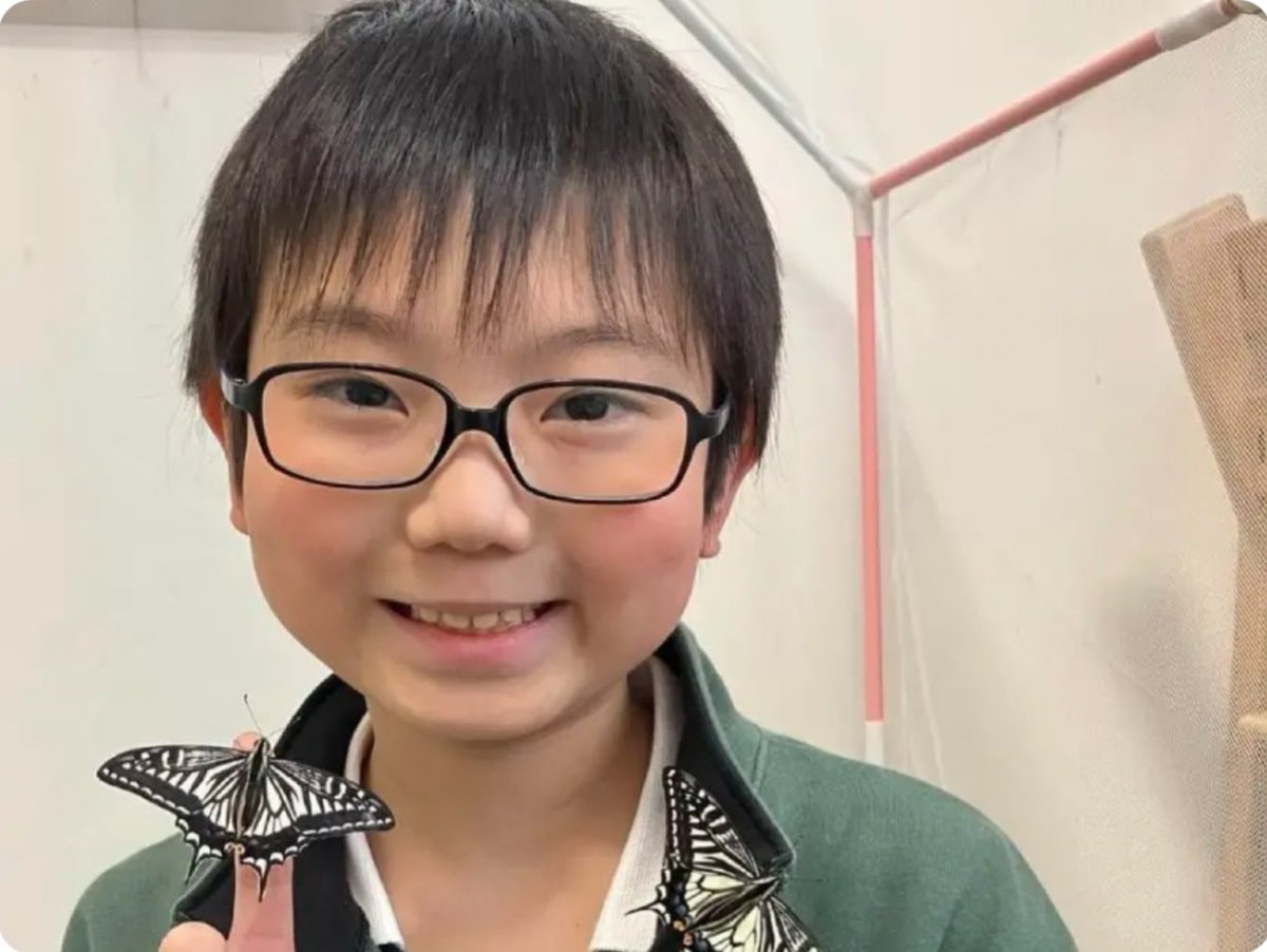 Japanese boy proves butterfly memory across metamorphosis Japanese boy proves butterfly memory across metamorphosis