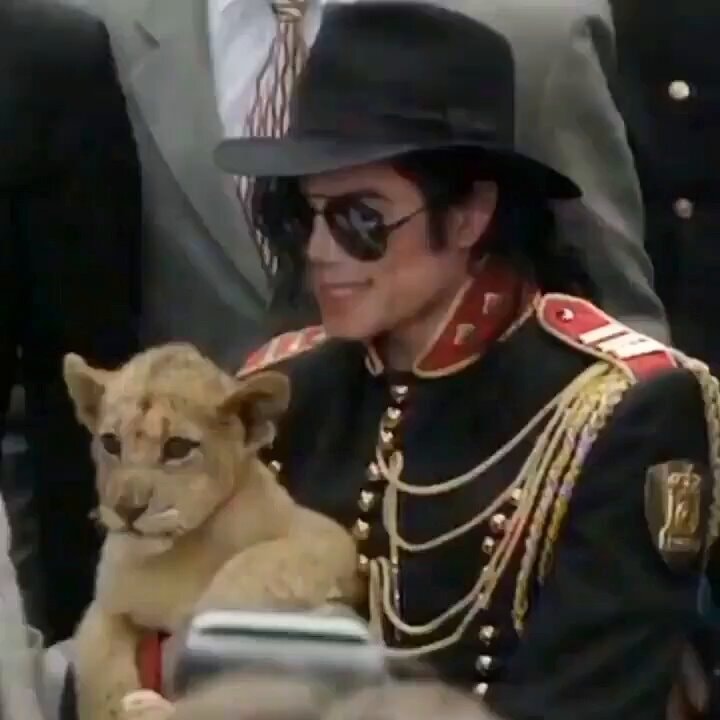 Michael Jackson lion cub