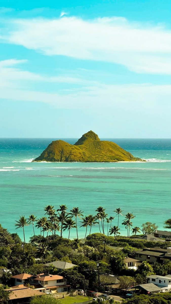 Linkai Hawaii (photo 2 of 2)