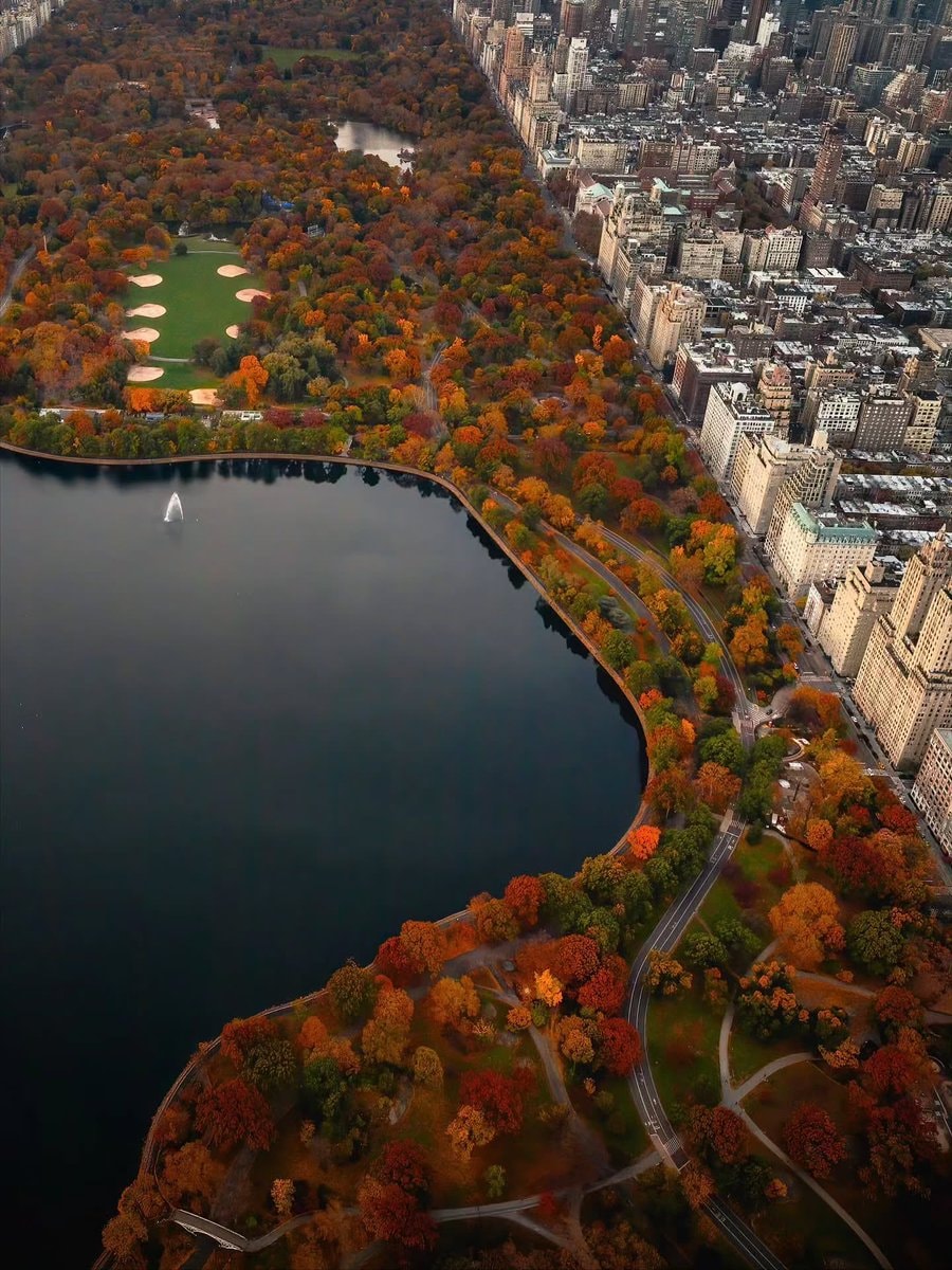 Central Park autumn, New York City (photo 3 of 4)