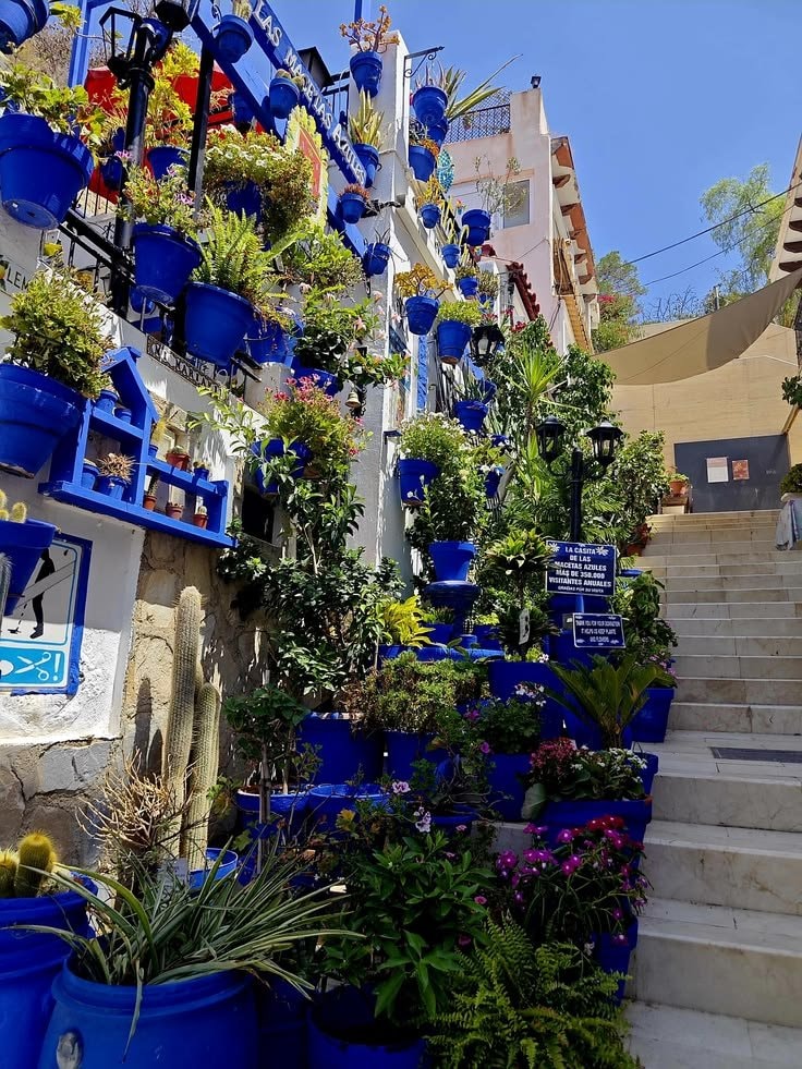Alicante Italy blue potted plants street