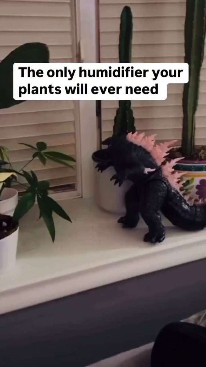Godzilla figurine plant care