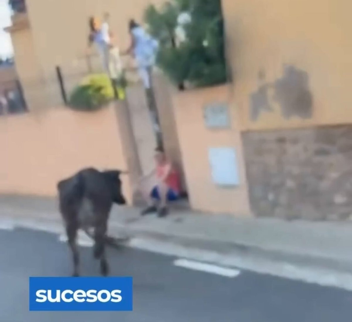 Young man farm aura bull incident