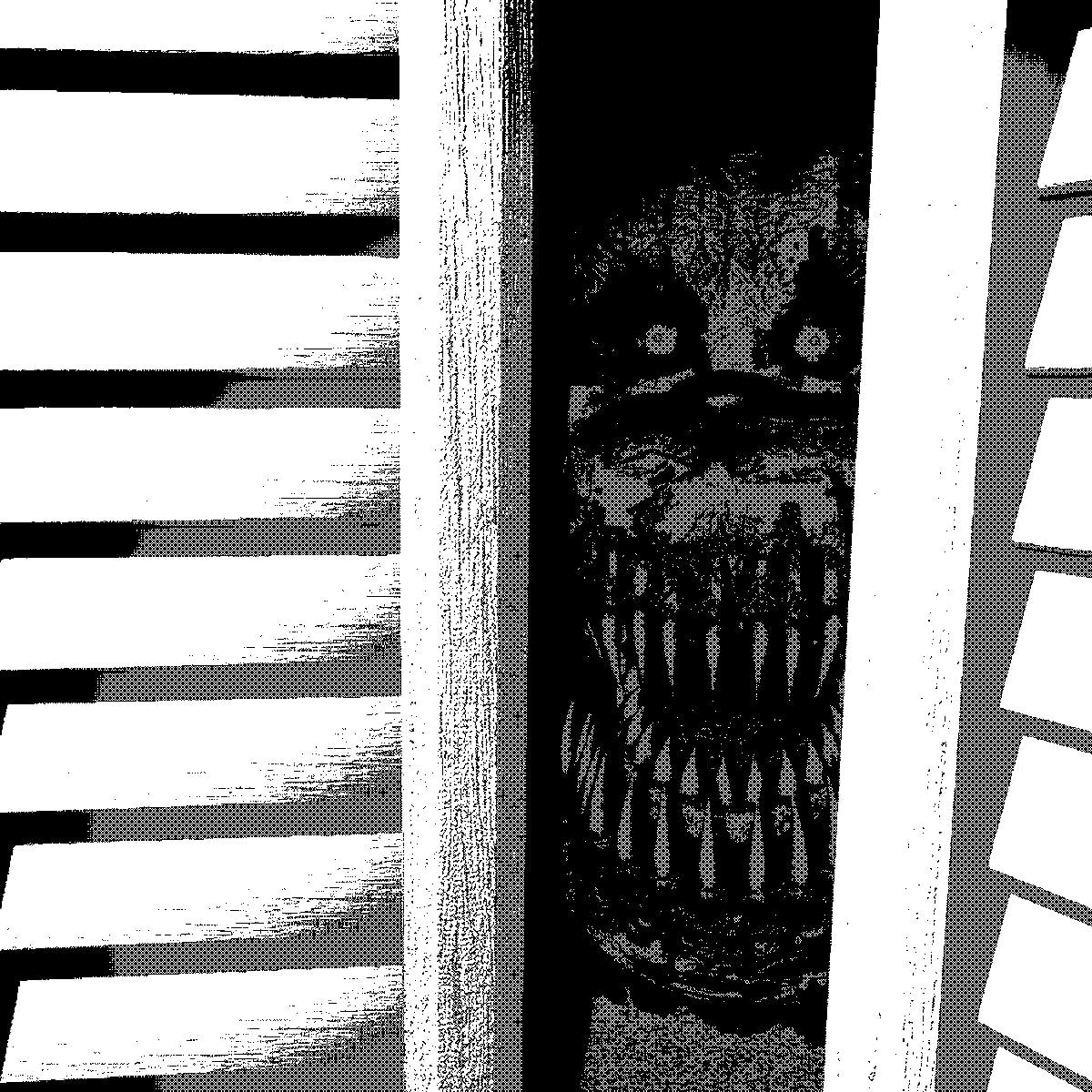 Monster face at the door Monster face at the door