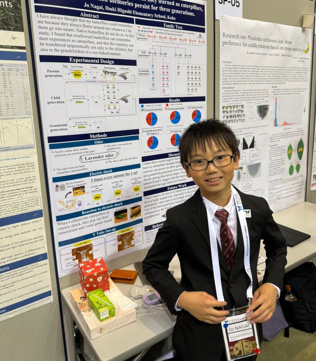 Jo Nagai butterfly memory discovery (photo 2 of 2)