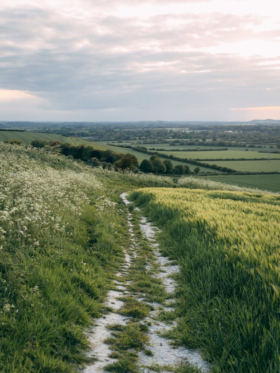 green paths therapy (photo 2 of 4)