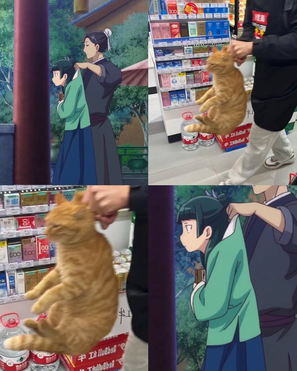 anime cat meme