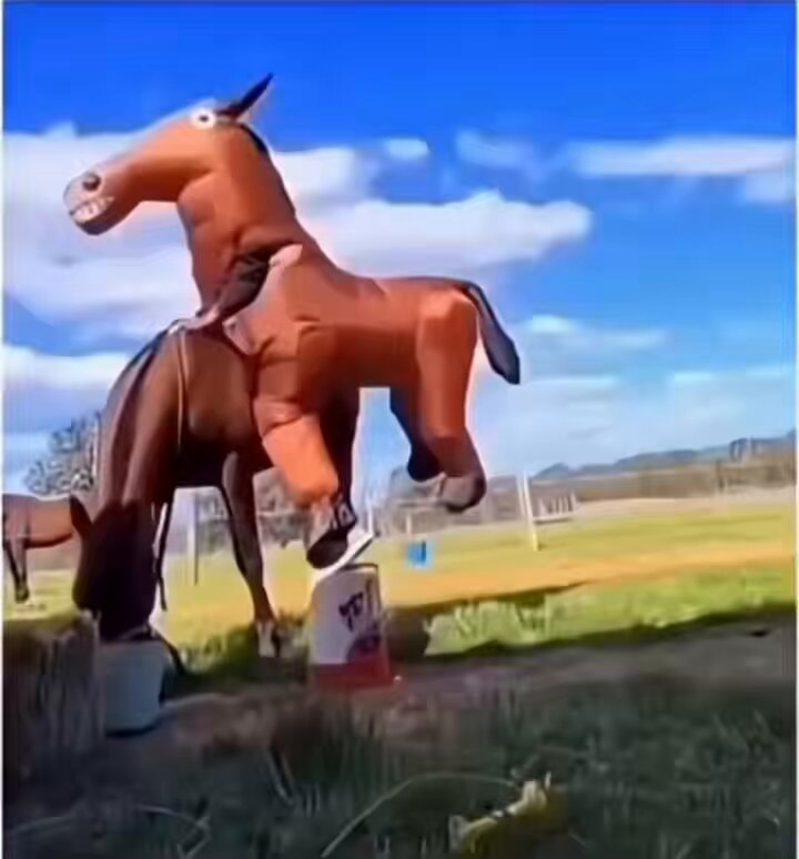 inflatable horse over real horse