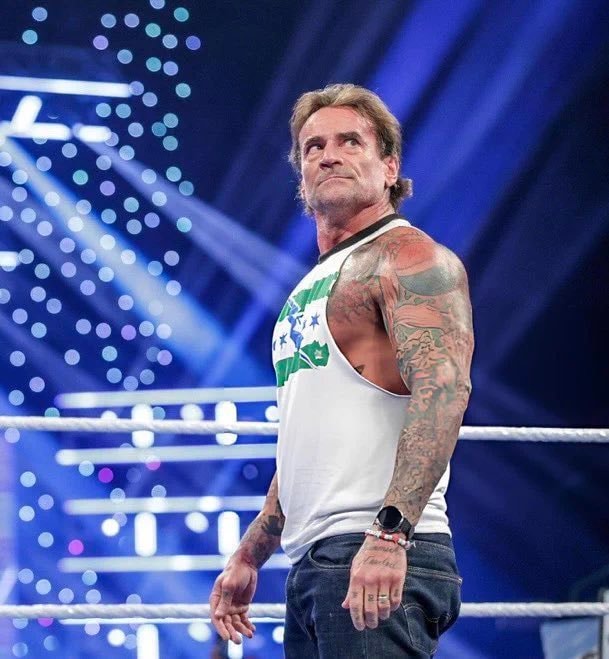 CM Punk WWE Money in the Bank status