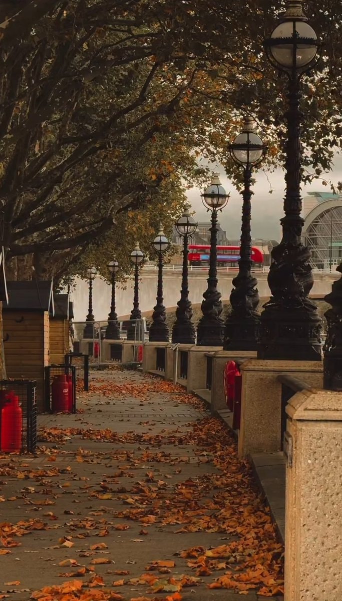 London Big Ben autumn mood (photo 4 of 4)