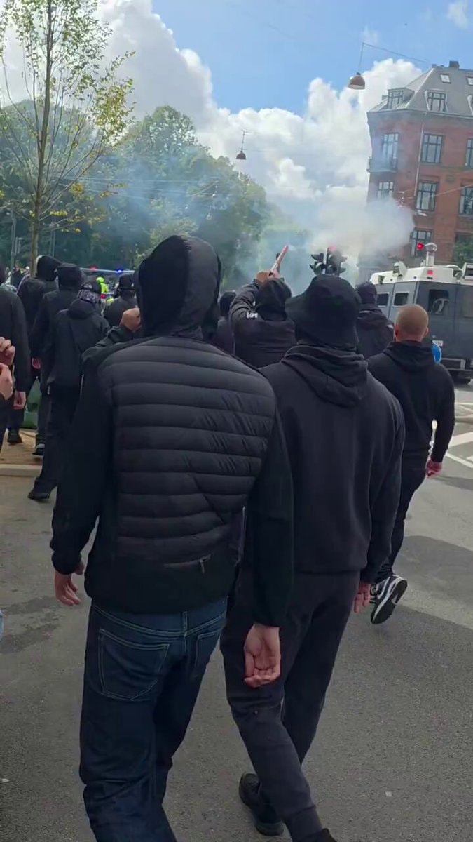 Danish People's Party protest clash