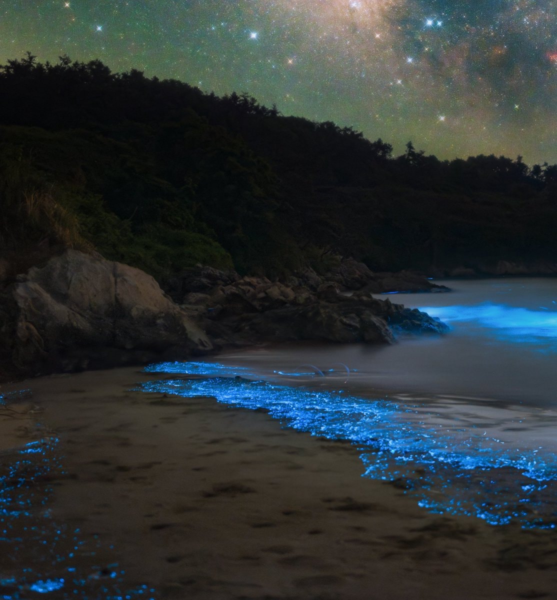 Bioluminescent beach at night (photo 3 of 4)