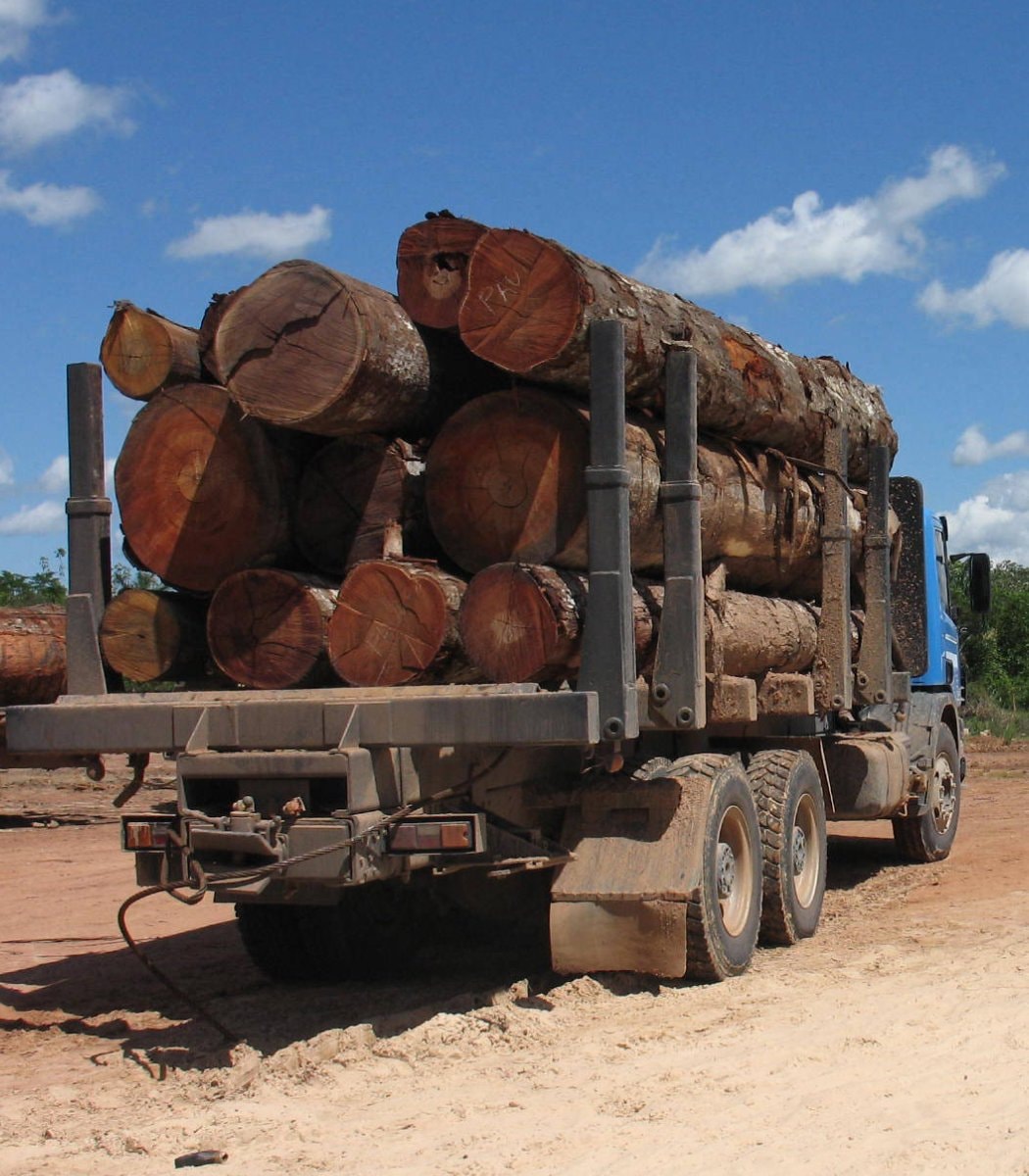 Amazon deforestation record low Brazil (photo 2 of 2) Amazon deforestation record low Brazil (photo 2 of 2)