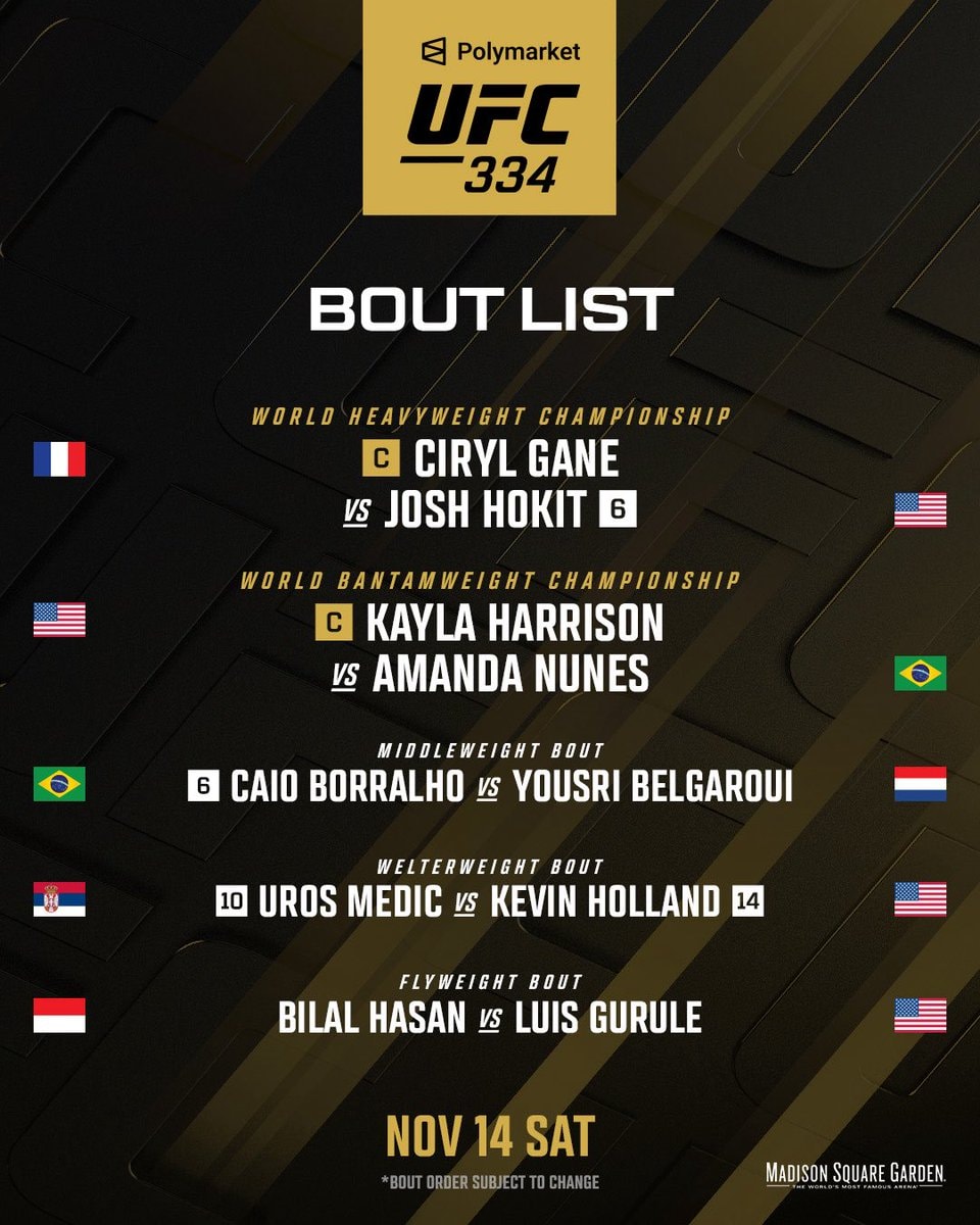 UFC 334 fight card MSG