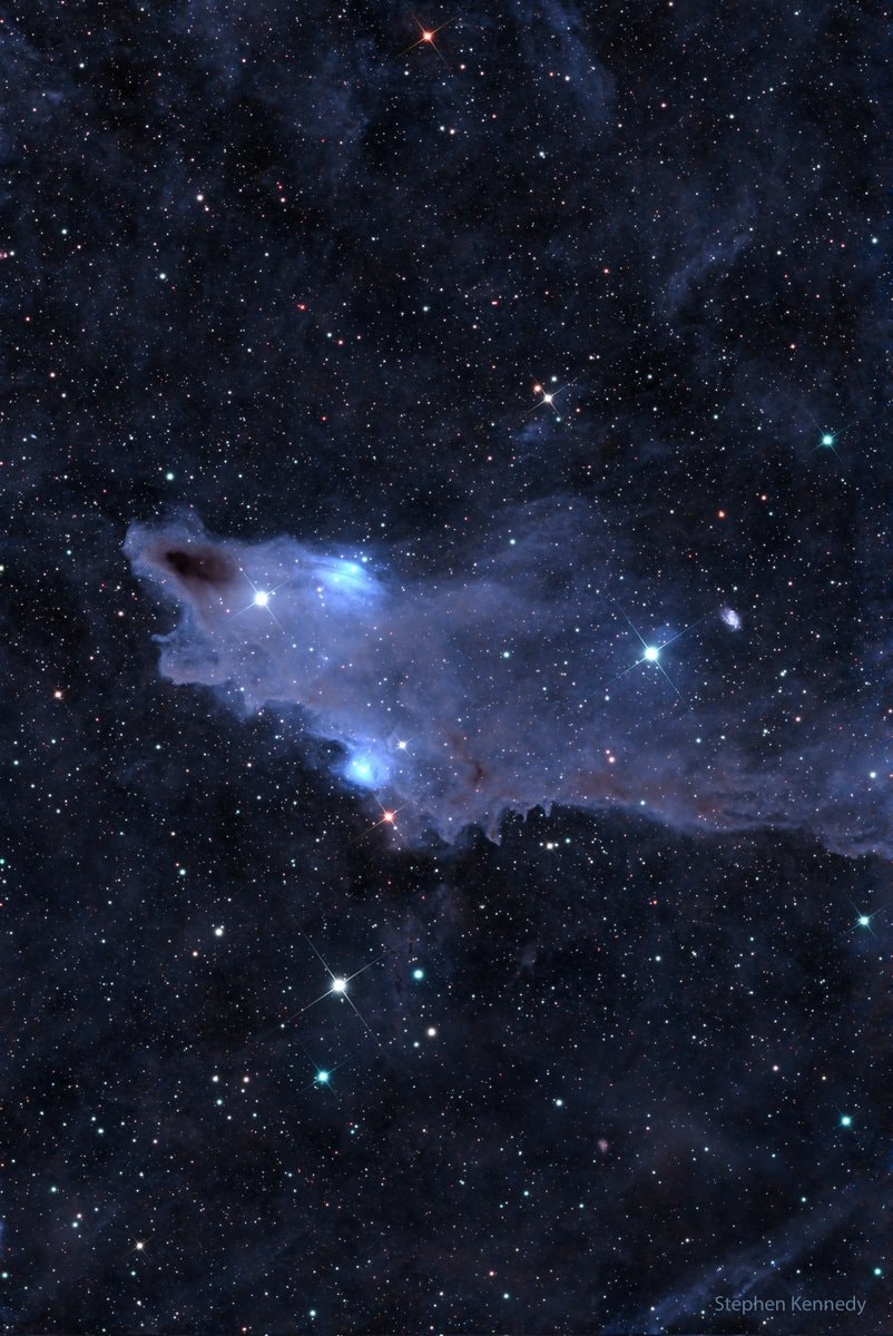 Shark Nebula