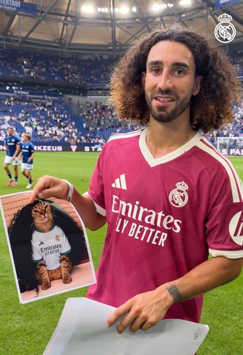 Real Madrid jersey cat meme Real Madrid jersey cat meme