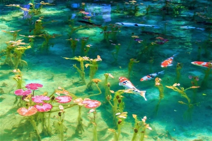 Tropical landscape with turquoise water (photo 2 of 4)