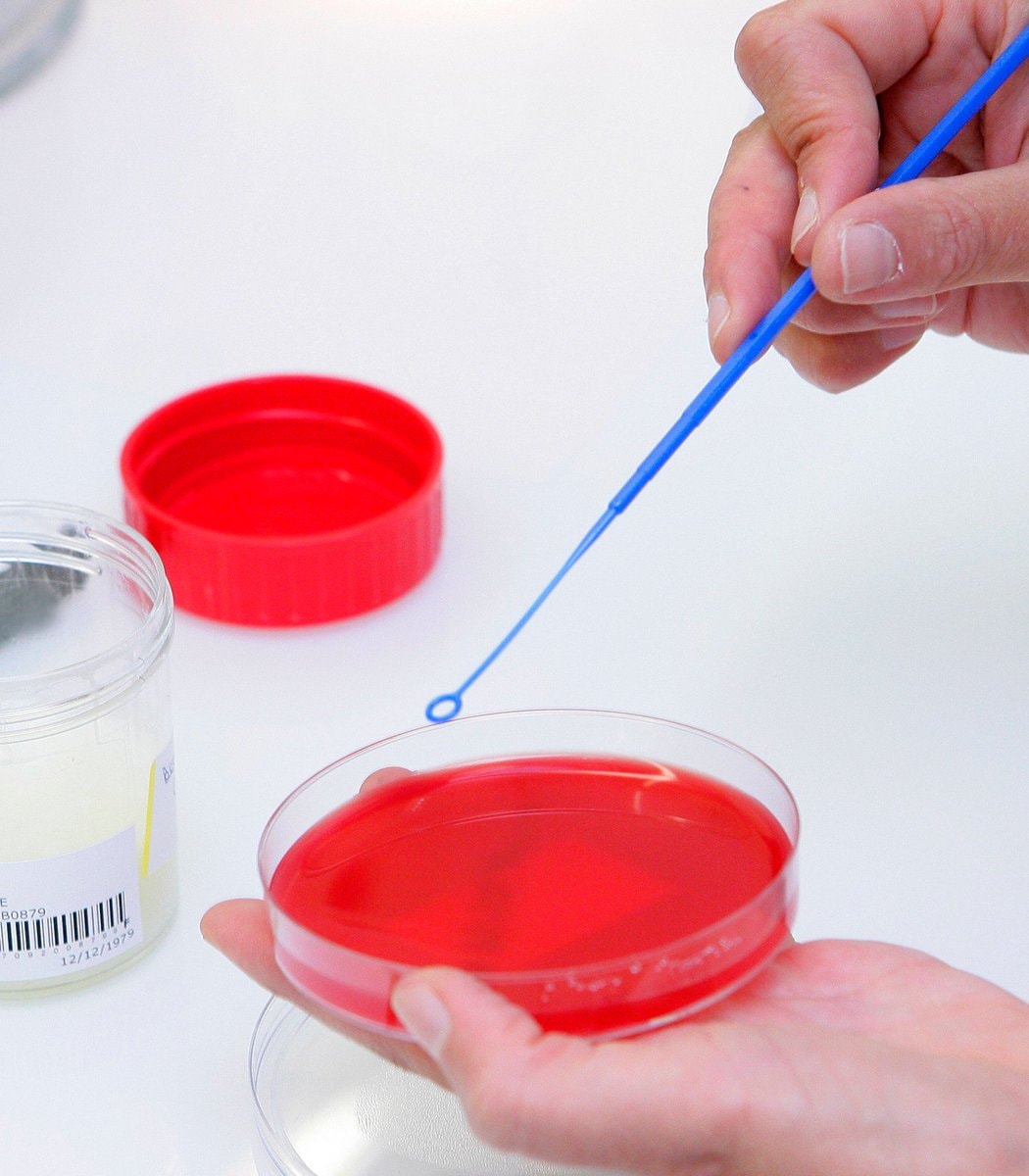 Bryan Johnson clone petri dish (photo 2 of 2)