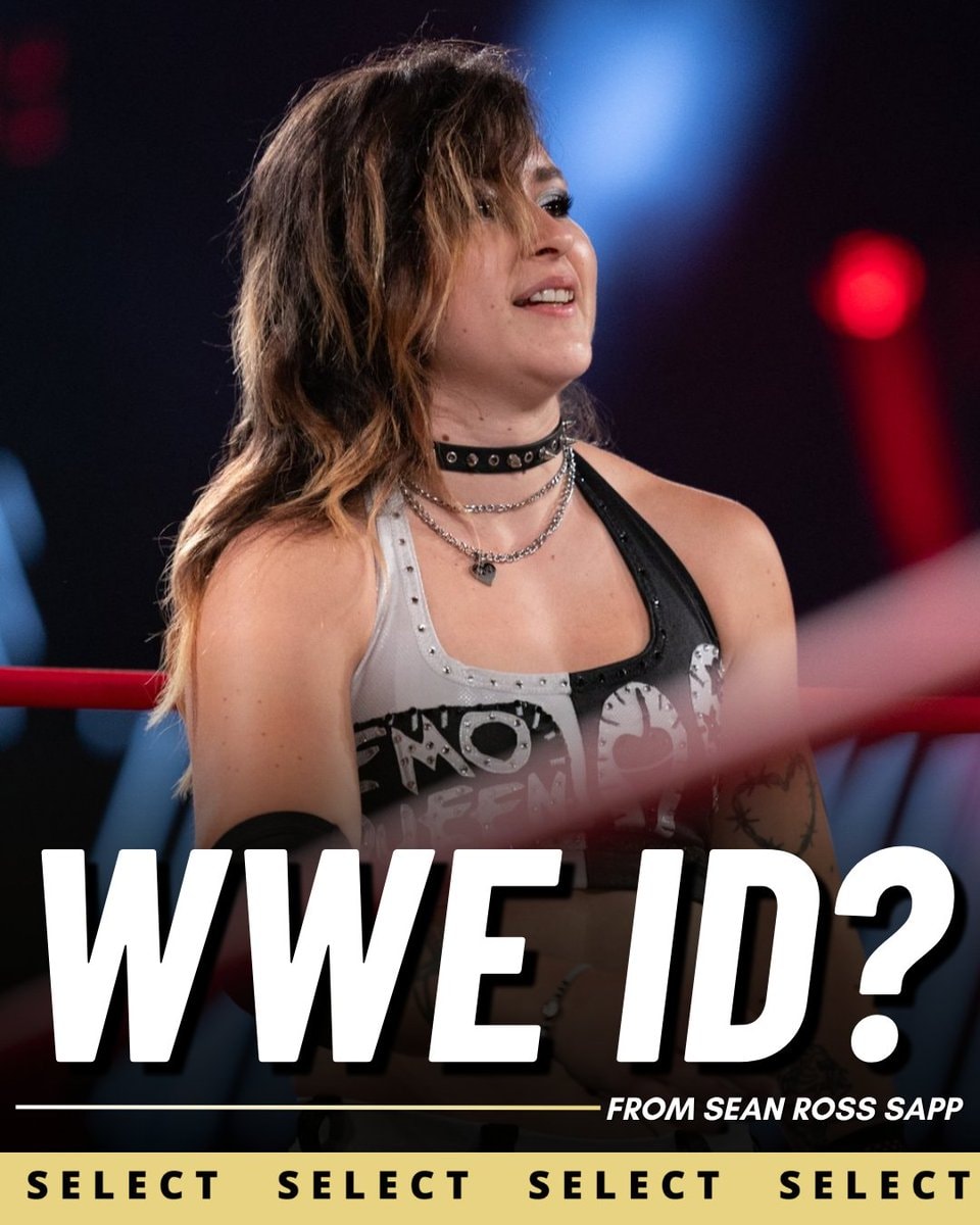 Brooke Havok WWE ID plans