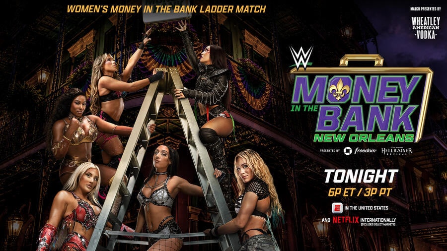 Women's Money In The Bank Ladder Match