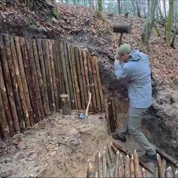 Building a log structure in the forest