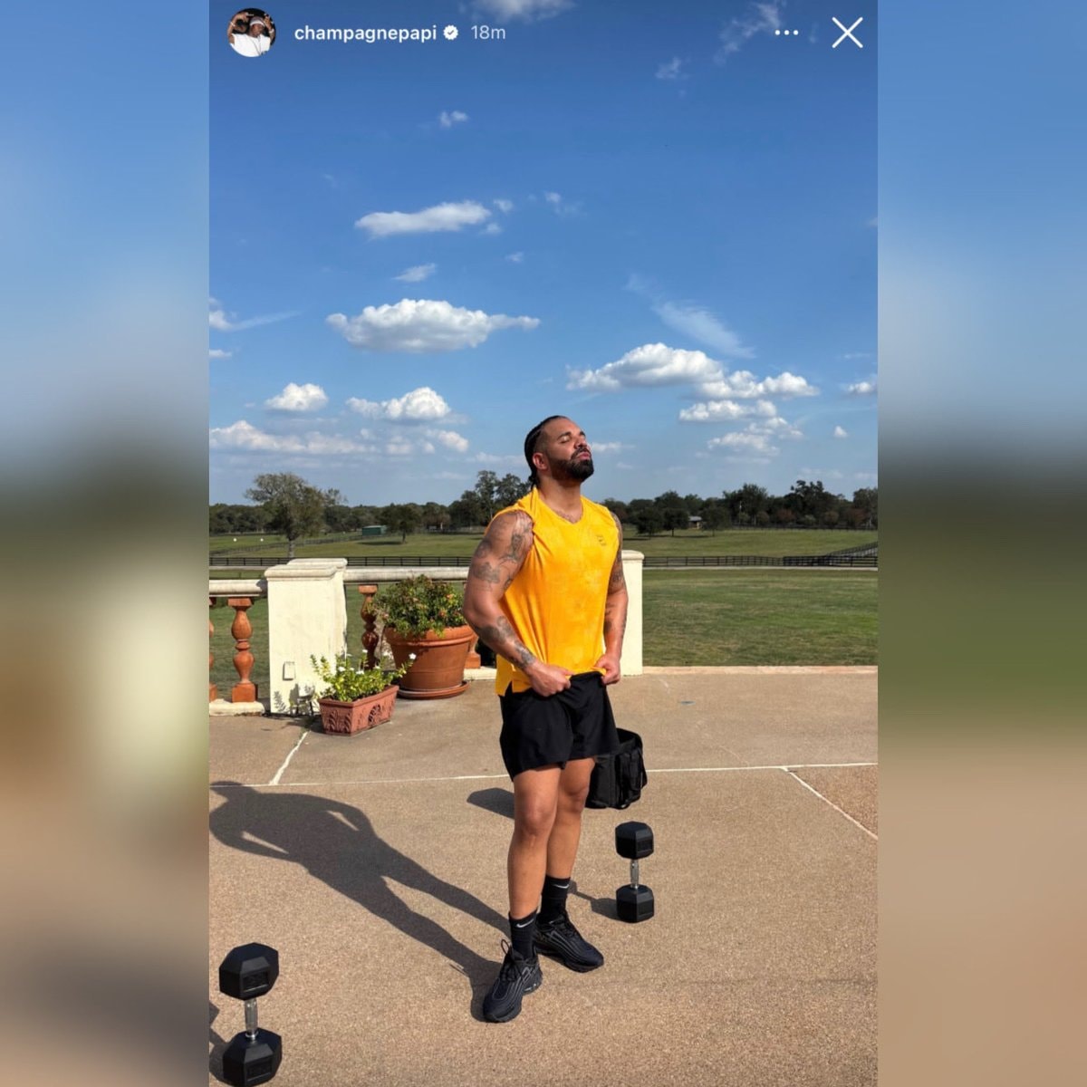 Drake Instagram Story muscles