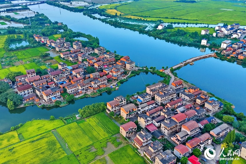 Tanshang Village rice fields (photo 4 of 4)