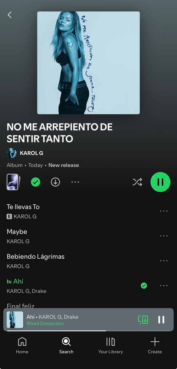Karol G NO ME ARREPIENTO DE SENTIR TANTO