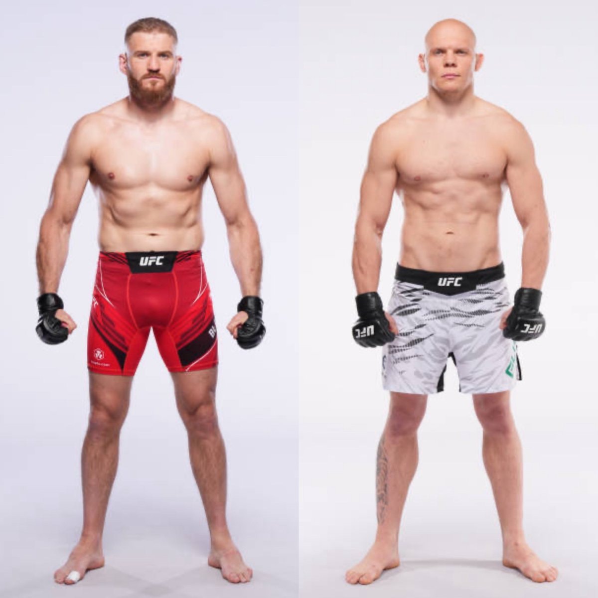Jan Blachowicz Bogdan Guskov UFC Belgrade rematch 🔥