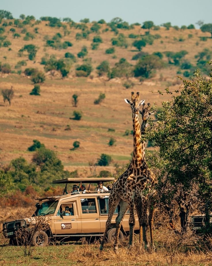 Tanzania (photo 1 of 4)