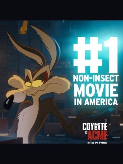 Coyote vs Acme box office success (photo 2 of 2)