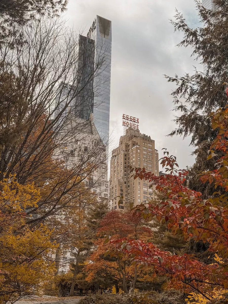 Central Park New York (photo 2 of 4)