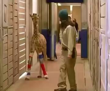 Msituni giraffe orthopedic braces