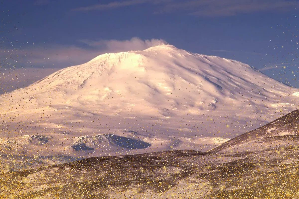 Mount Erebus gold rain Antarctica (photo 2 of 2)