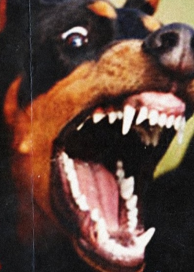 Metro Boomin Without Warning horror details (photo 2 of 2)