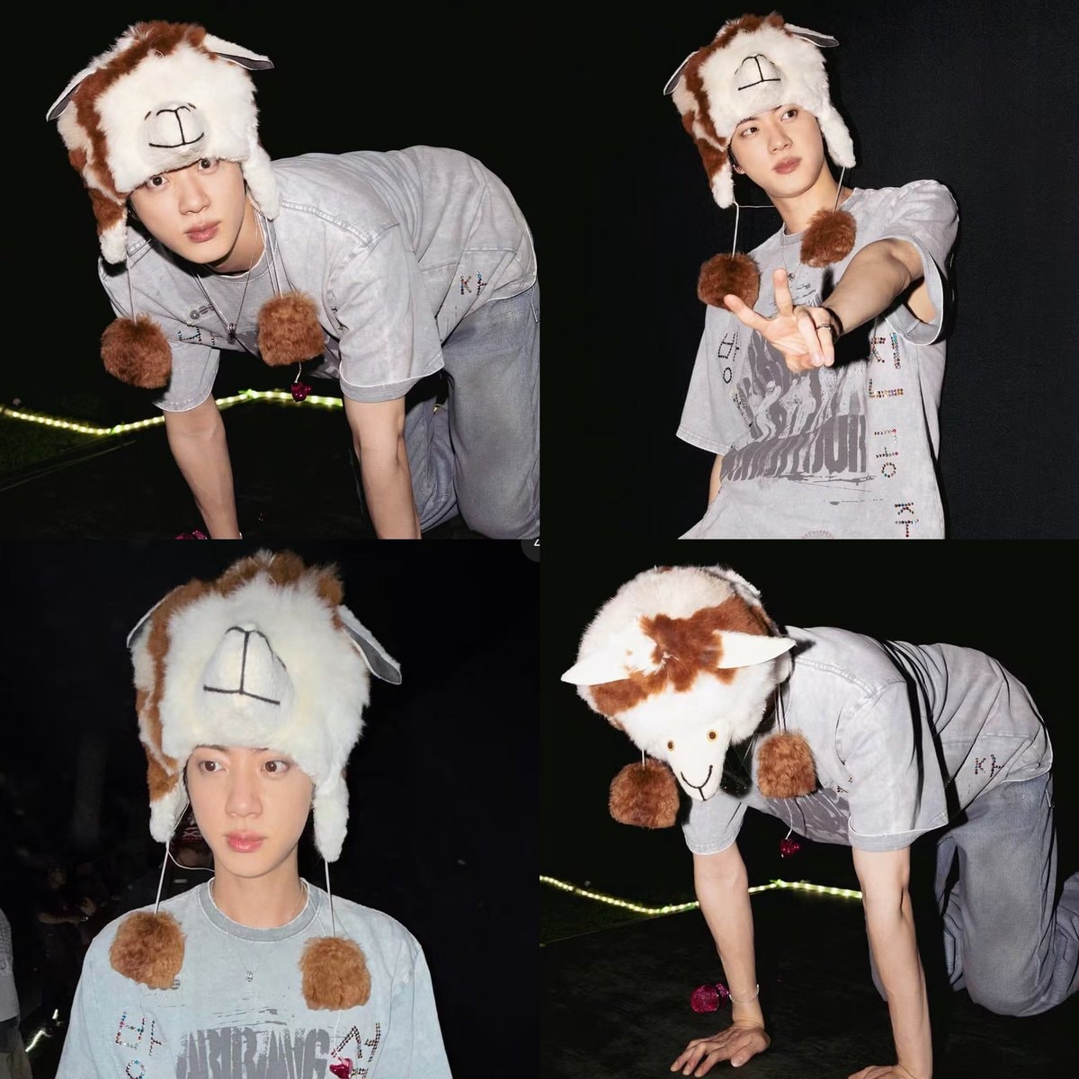 Jin posing like an alpaca