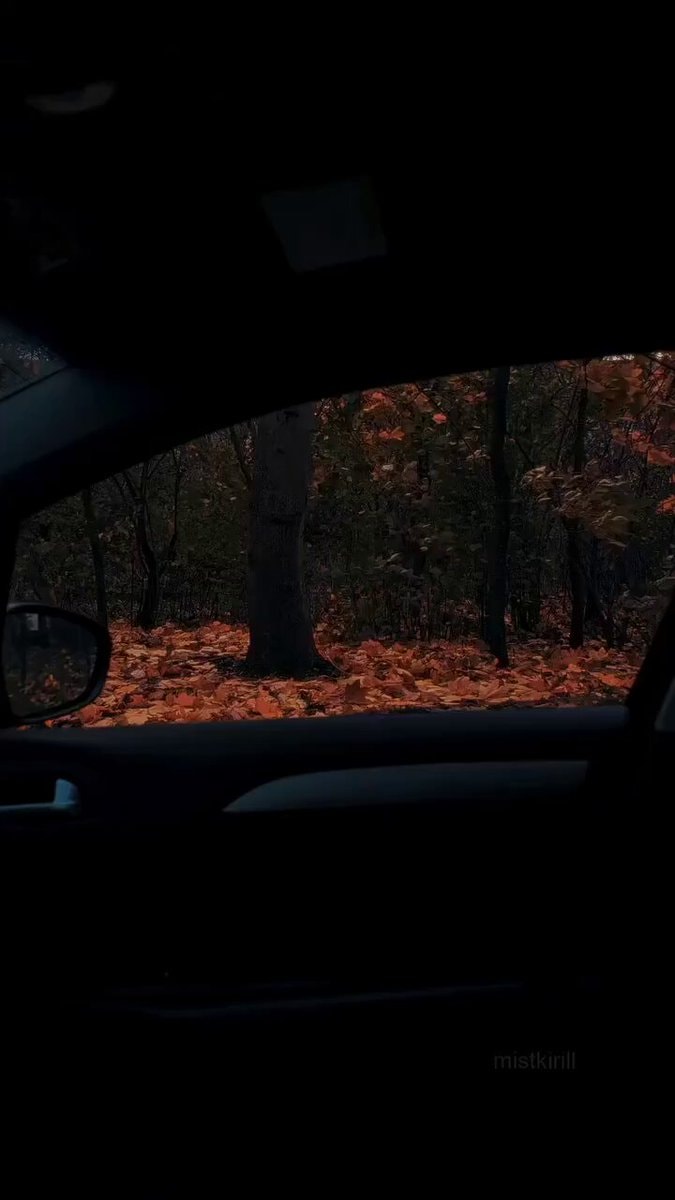 fall forest scene