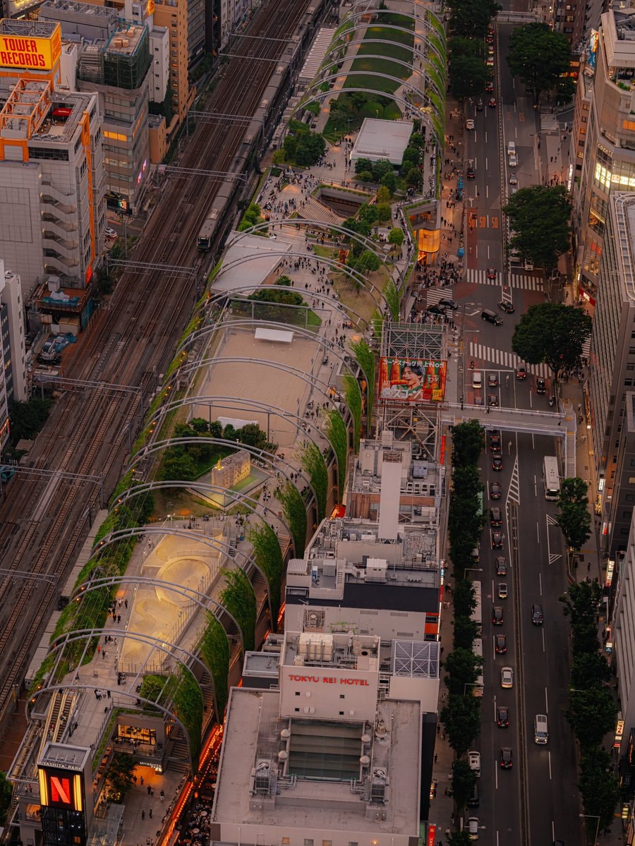 Shibuya Japan sunset park (photo 3 of 4)
