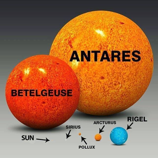 Sun compared to largest stars
