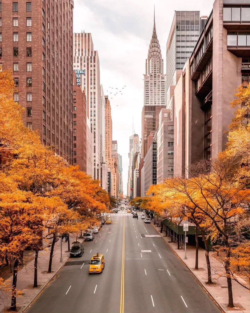 Manhattan autumn in New York City (photo 3 of 4)