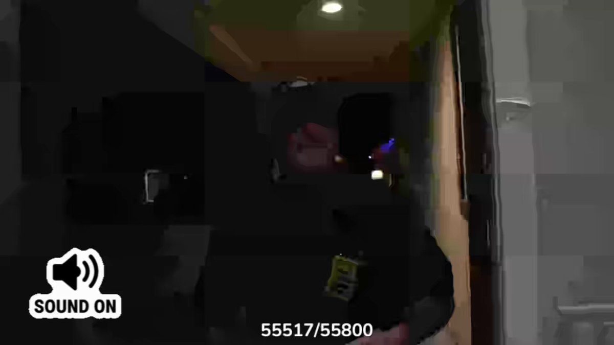 Chrisean CPS confrontation Jr.