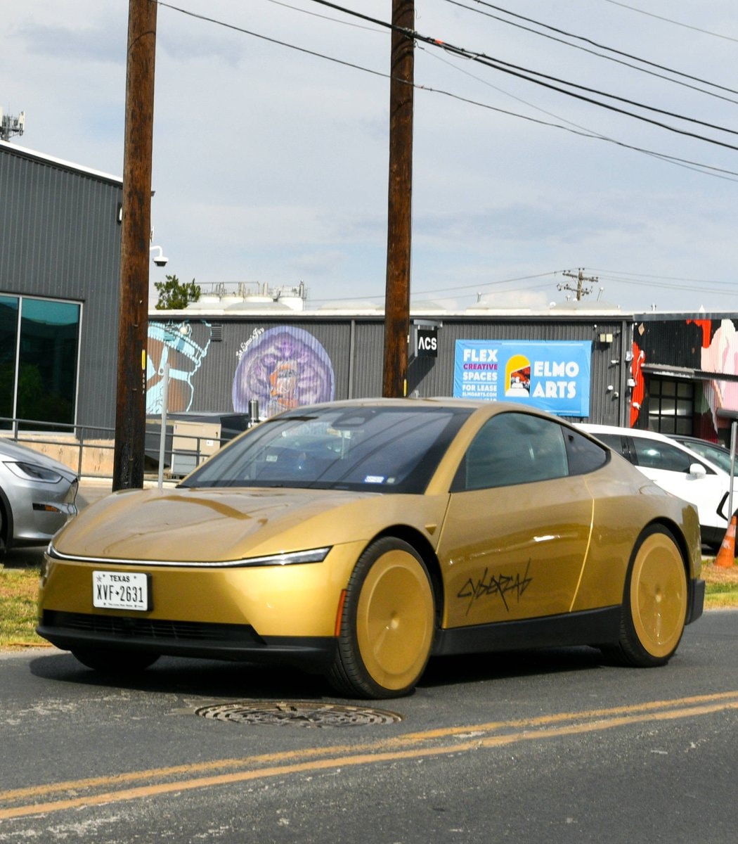 Tesla Robotaxi cat detection issue