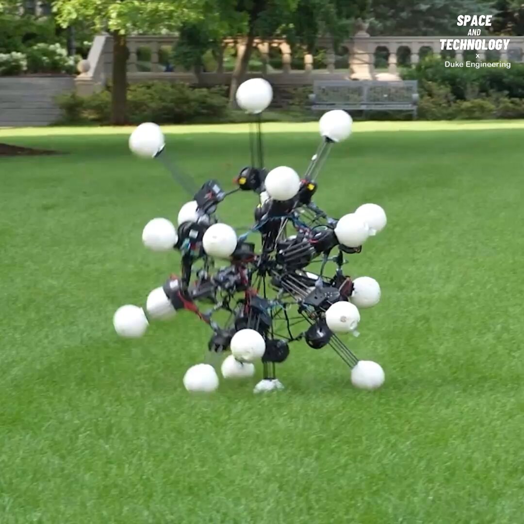 Duke Argus spherical robot