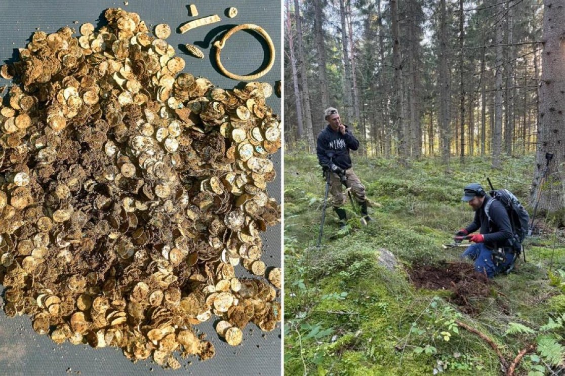 Viking Age fortune discovery