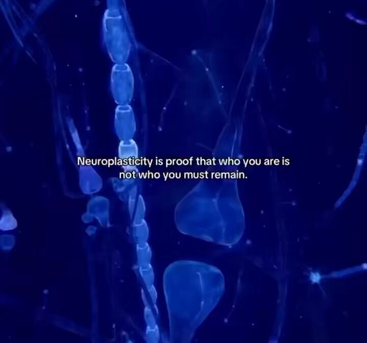 neuroplasticity magic