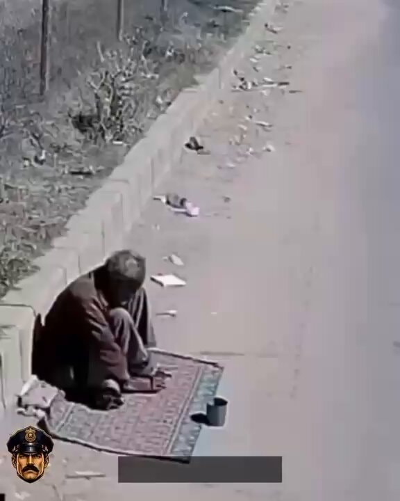 unbelievable funny moments caught on camera
