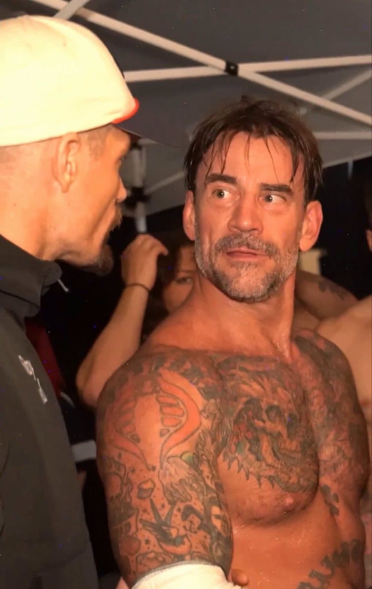 Grayson Waller vs CM Punk verbal rivalry Grayson Waller vs CM Punk verbal rivalry